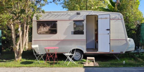 Caravane bohème équipée glamping jardin Bayonne